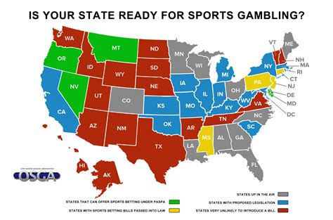 The Top 9 Sports Betting Sites in the United States 2024 